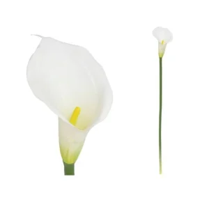 Vara cala latex-72 cm (blanco)